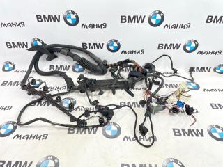 Проводка двигателя и АКПП BMW X5 2005 контрактная Проводка двигателя и АКПП BMW X5 2005