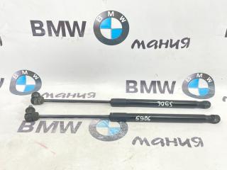 Амортизатор капота BMW X6 2009