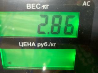 Амортизатор подвески Frontera B 2001 Z32SE