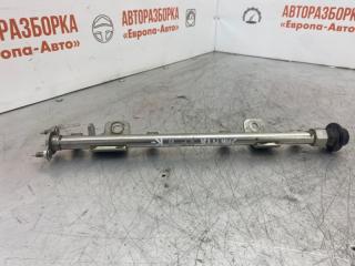 Рейка топливная (рампа) Hyundai Sonata NF 2007 Б/У Рейка топливная (рампа) Hyundai Sonata NF 2007