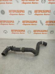Запчасть патрубок радиатора Ford Focus 2 2008