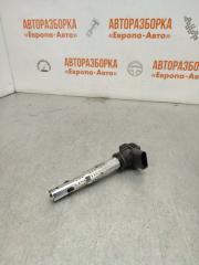 Запчасть катушка зажигания Volkswagen Passat B6 2007