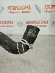 Патрубок радиатора Ford Focus 2 1.6 л