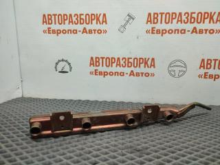 Рейка топливная (рампа) Nissan Almera Classic B10 2009 Б/У Рейка топливная (рампа) Nissan Almera Classic B10 2009