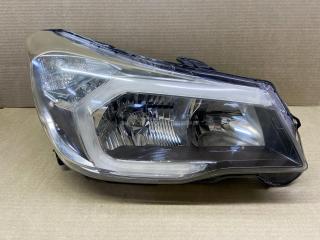 Фара передняя правая Subaru Forester 2012