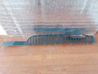 Сетка решетки радиатора Mercedes Axor 2018