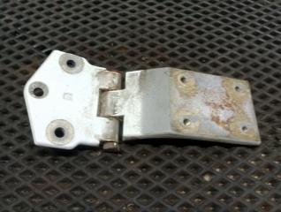 Петля двери DAF XF106