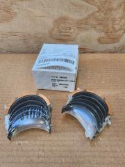 MAIN BEARINGS