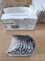MAIN BEARINGS