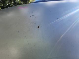 Bonnet MAZDA MPV LW3W