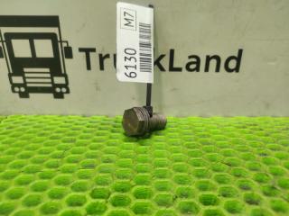 Болт полый М14x1 MAN TGS