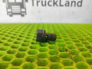 Болт полый м10x1x19 MAN TGX