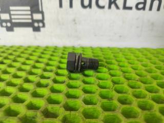 Болт полый м10x1x19 MAN TGX
