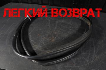 Уплотнитель двери задний BMW X5 2008