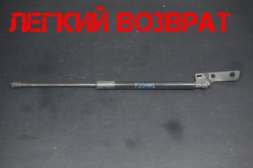 Амортизатор багажника BMW 1