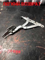 Петля крышки багажника задняя левая Audi A6 2003