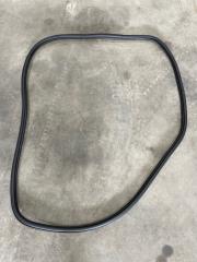 Уплотнитель проема двери передний левый Volkswagen Tiguan 2019