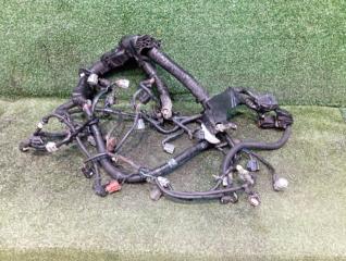 Фото запчасти проводка двс Nissan Murano Teana 2010 Б/У запчасть Запчасть проводка двс Nissan Murano Teana 2010