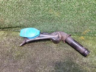 Горловина бачка стеклоомывателя Audi A6 C6 2010