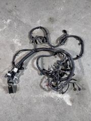 Проводка двигателя Nissan Navara (D40) 2004-2015 2014