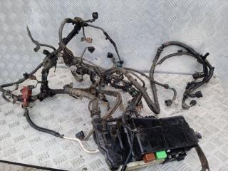 Проводка двигателя Toyota Hilux (2005-2015) 2007