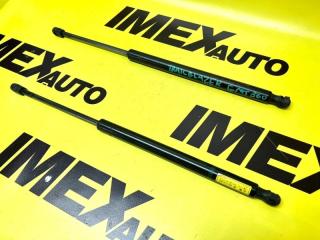 Запчасть амортизаторы капота Chevrolet TrailBlazer