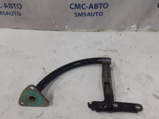 Петля багажника правая Volkswagen Passat 2006-2008