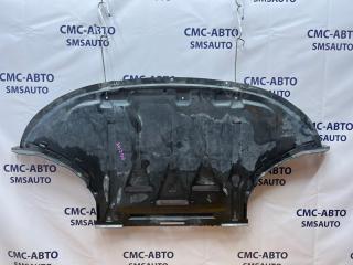 Защита ДВС Audi A6 2010