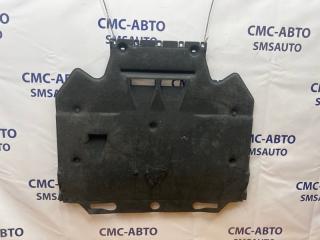 Защита ДВС Audi A6 2014