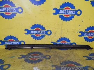 Молдинг двери задний левый BREVIS JCG10