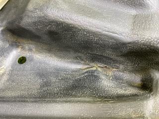 Подкрылок передний правый PRIUS NHW20 1NZFXE