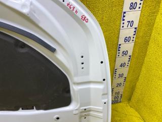 Капот передний RX450H/RX450HL/RX350/RX350L/RX300/RX200T 2021/Цвет 083 GYL20W/GYL25W/GYL25L/GYL25R/GYL20W/GYL20L/GYL20R/GYL20/GYL26W/GYL26L/GYL26/AGL20W/AGL20L/AGL20R/AGL25W/AGL25L/AGL25R/GGL20W/GGL20L/GGL20R/GGL21R/GGL25W/GGL25L/GGL25R/GGL26W/GGL26L/GGL26R 2GRFXS