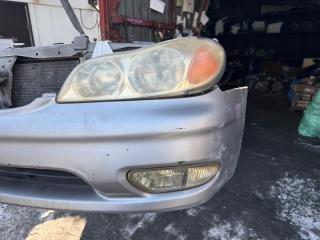 Nose cut CEFIRO A33