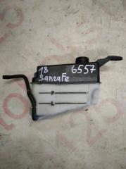 Бачок расширительный Hyundai Santa Fe CM D4EB 254302B100 3 ракурс