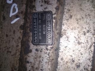 Радиатор интеркулера Kia Sorento BL D4CB 281904a160 3 ракурс