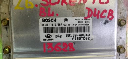  Kia Sorento BL D4CB 391104A840, 0281012567 2 ракурс