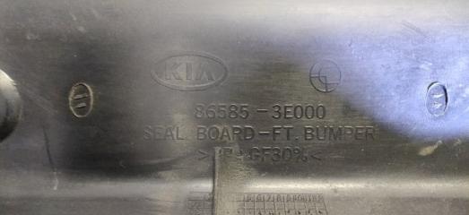Защита замка капота Kia Sorento BL D4CB 865853e000 3 ракурс