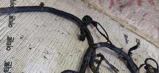 Проводка под капотом Hyundai Santa Fe CM D4EA 914802b221 4 ракурс Проводка под капотом Hyundai Santa Fe CM D4EA 914802b221 4 ракурс