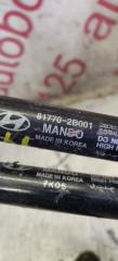 Амортизатор двери Hyundai Santa Fe CM D4EA 817702b001 2 ракурс