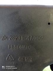 Влагоотделитель Hyundai Starex A1 D4BH 282314A002 4 ракурс