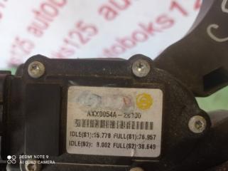 Педаль газа Hyundai Santa Fe CM D4EB 0054A2B100 3 ракурс