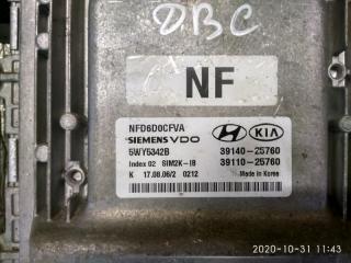  Hyundai Sonata NF 3914025760, 3911025760 2 ракурс