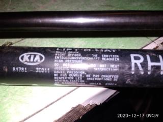 Амортизатор двери Kia Sorento BL D4CB 817813E011, 817713E011 4 ракурс