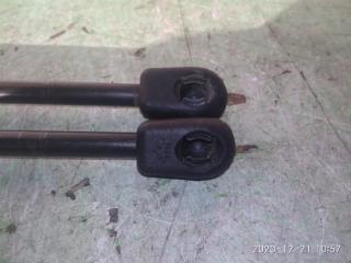 Амортизатор двери SsangYong Kyron DJ D20DT 7145009000, 7146009000 4 ракурс