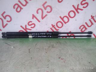 Амортизатор двери Hyundai Grand Starex TQ D4CB 817804H010 1 ракурс