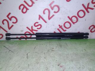 Амортизатор двери Kia Mohave HM 817802J000, 817702J000 1 ракурс