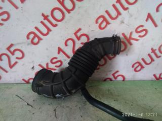 Патрубок воздушного фильтра Hyundai Grand Starex TQ D4CB 281384H000 2 ракурс