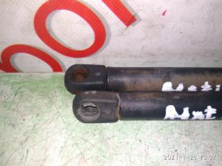 Амортизатор двери Daewoo Matiz 553858866 2 ракурс