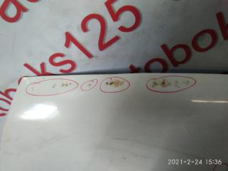 Капот SsangYong Rexton GAB D27DT (665926) 6100108011, 6100108012, 6100108002 2 ракурс