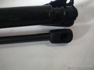 Амортизатор двери Hyundai Santa Fe DM D4HA 817712W000 3 ракурс
